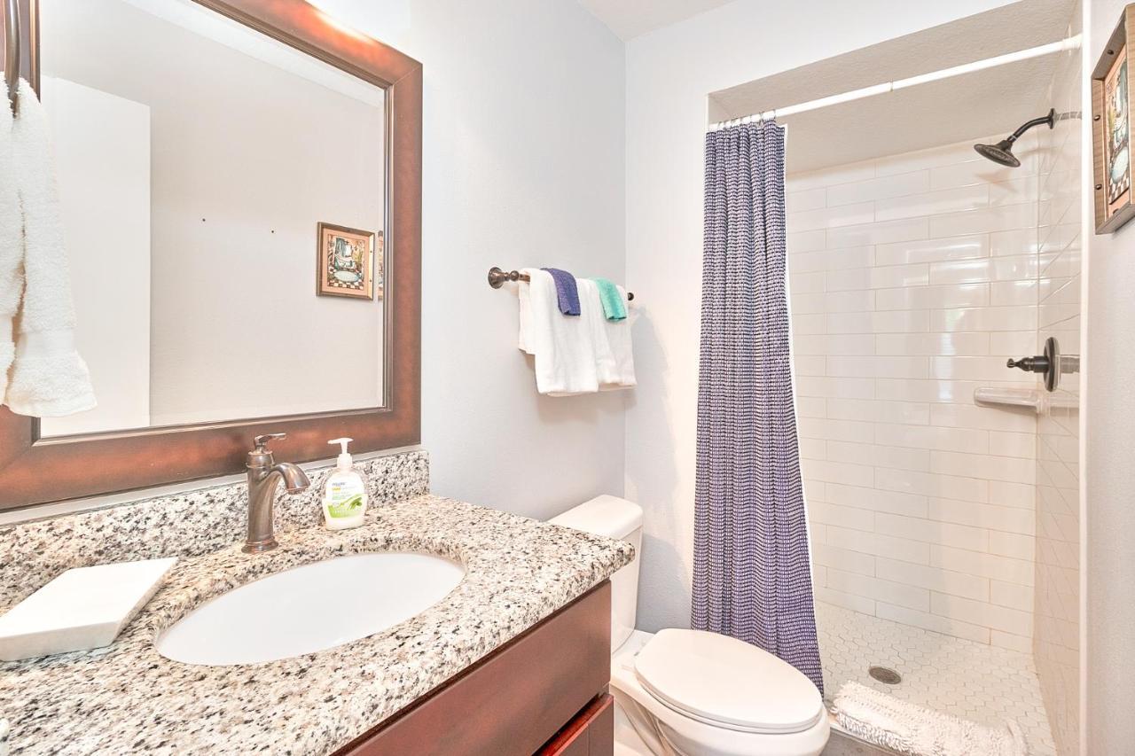 South Tampa Retreat Fenced Yard, Top Location! Εξωτερικό φωτογραφία